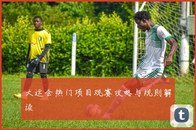 大运会热门项目观赛攻略与规则解读